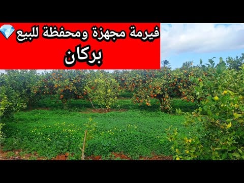 Property video thumbnail - 3yYsQXfb1Vs