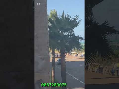 appartement in Casablanca - 105m² - 13.000.000 DH