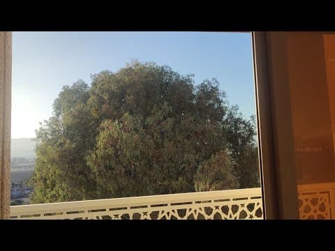 appartement in Tétouan - 3 bedrooms - 91m² - 47.000.000 DH