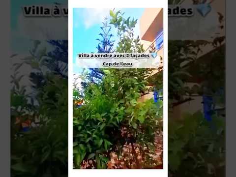 فيلا in الناظور - 3 bedrooms - 164m² - 1.640.000 د.م