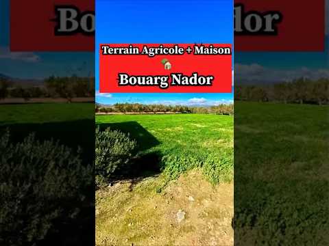 Maison in Nador - 3800m² - 24.000.000 DH