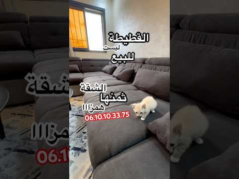 Property video thumbnail - mEMkWBn_uE0