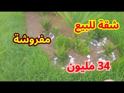 Property video thumbnail - pyWOldse1BY