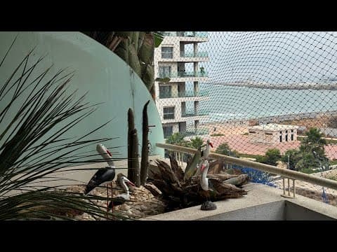 شقة in الدار البيضاء - 56m² - 2.260.000 د.م